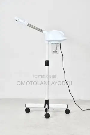 Facial Steamer