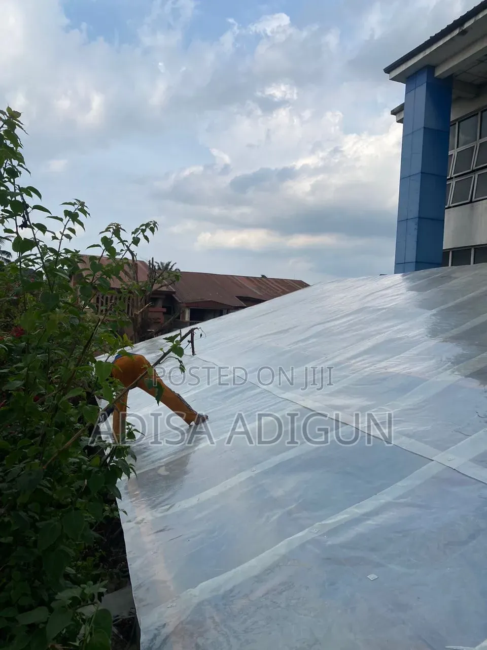 Transparent Fibre Roofing Sheetd