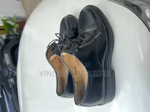 Black Aldo Men Shoe