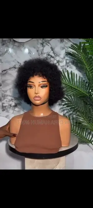 100% Human Afro Wig