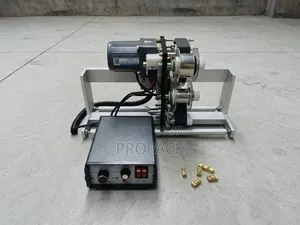 Automatic Date Coding Machine for Packaging Machines (Mount Type)