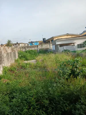 A Standard Half Plots in the Heart of Ogba.