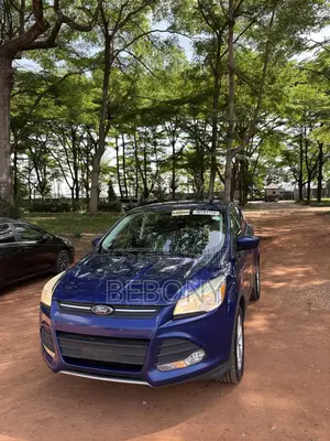 Ford Escape 2016 Blue