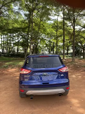 Ford Escape 2016 Blue