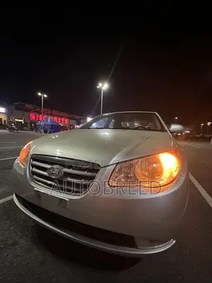 Hyundai Elantra 2009 Silver