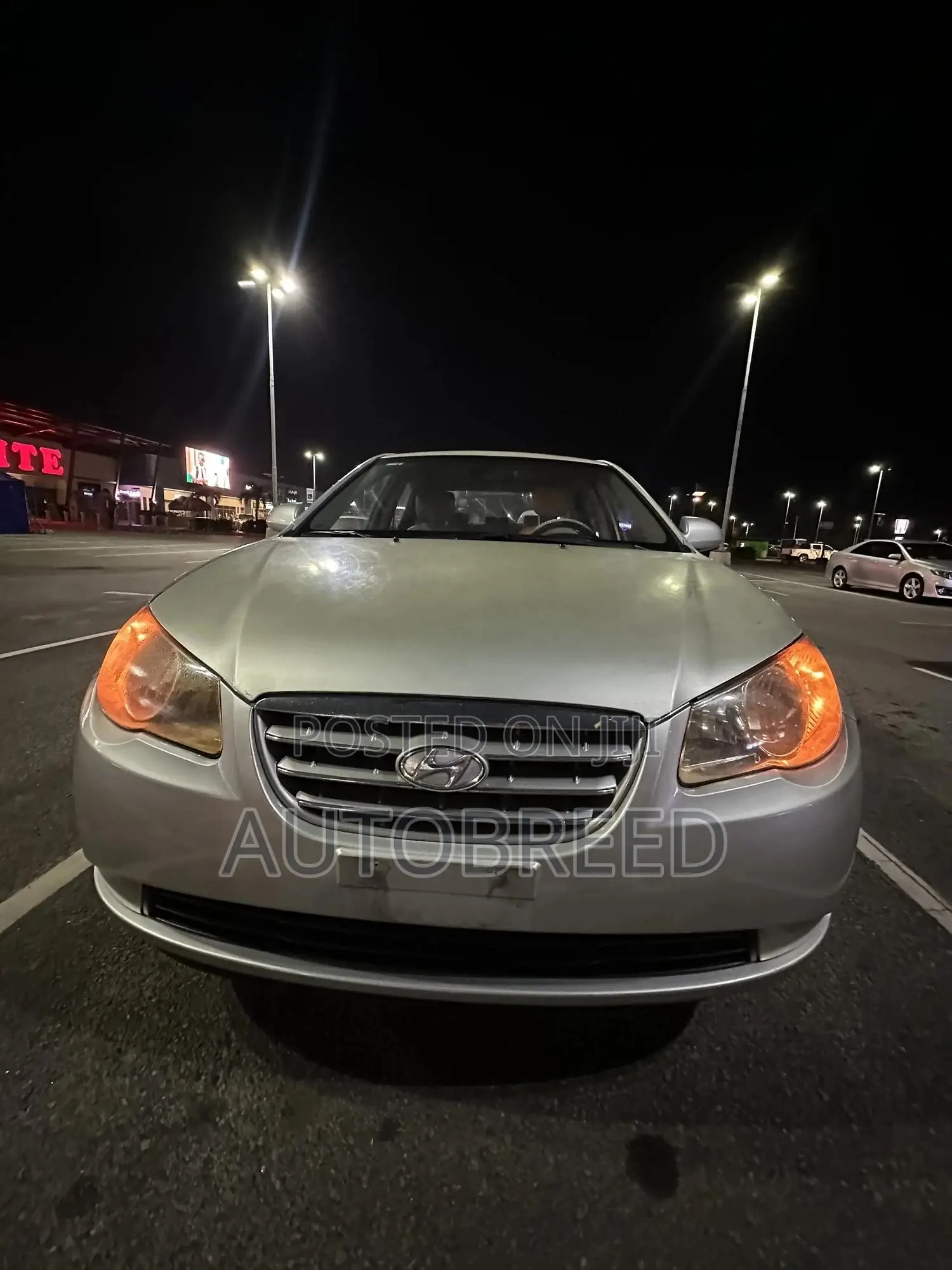 Hyundai Elantra 2009 Silver