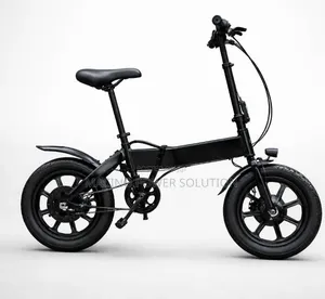 Full Custom Compact Folding Electric Bicycle