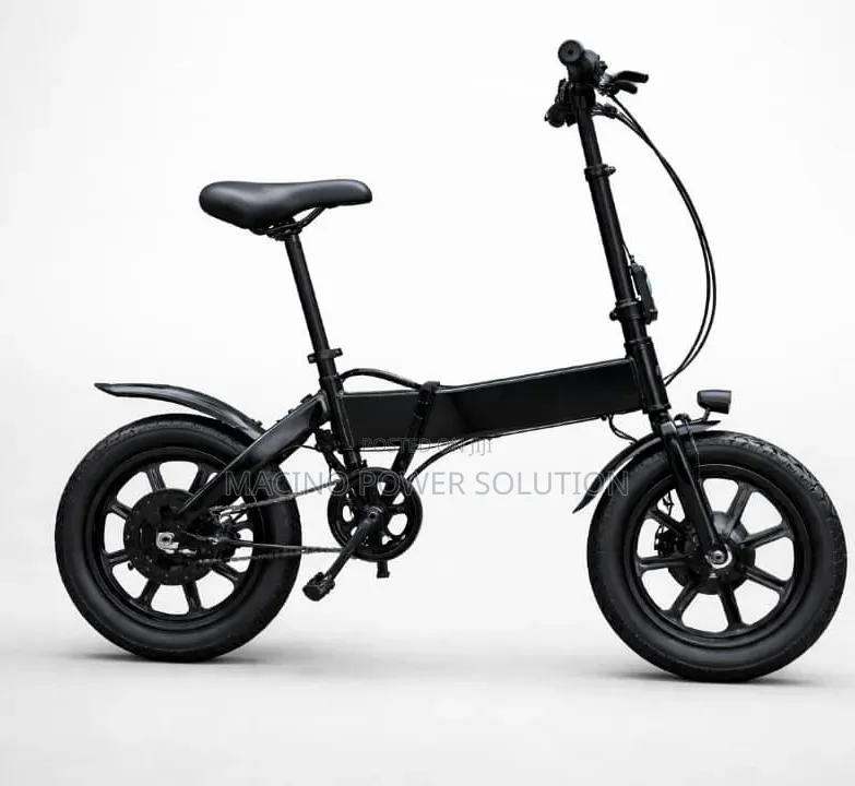 Full Custom Compact Folding Electric Bicycle
