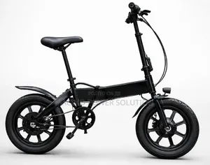 Full Custom Compact Folding Electric Bicycle