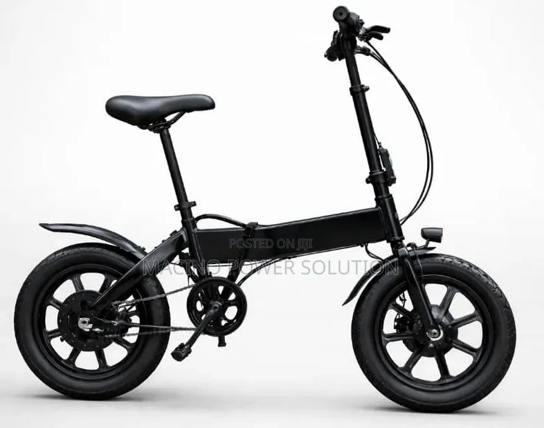Full Custom Compact Folding Electric Bicycle