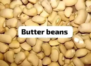 Clean Picked Honey Beans (Oloyin) Bulk Sales Available