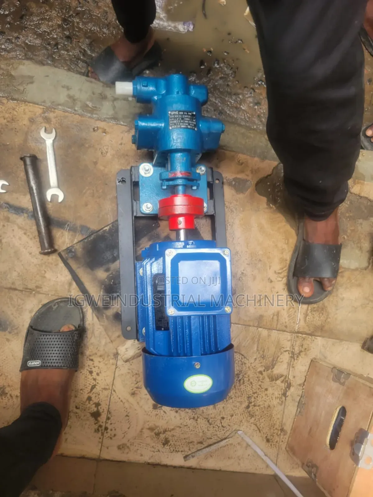 Gear Oil Pump