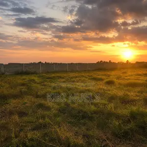 Exclusive Estate Plot Available In Kyami