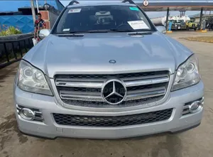 Mercedes-Benz GL-Class GL 450 2008 Silver