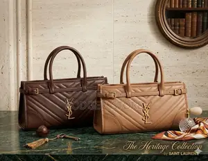 Ysl Trendy Ladies Bag
