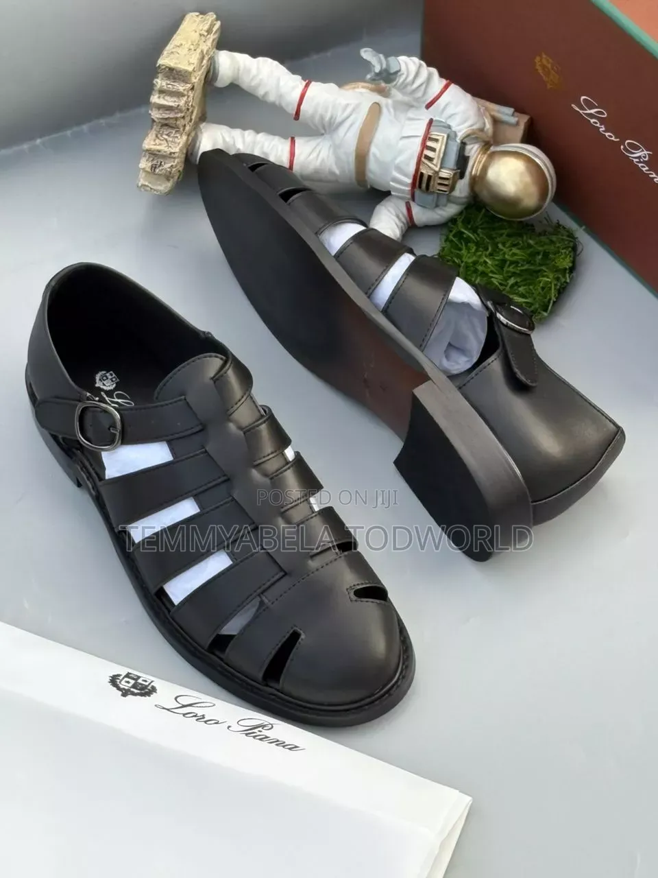 Sandals Shoe