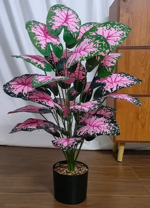 Flower Plants for Homes Offices