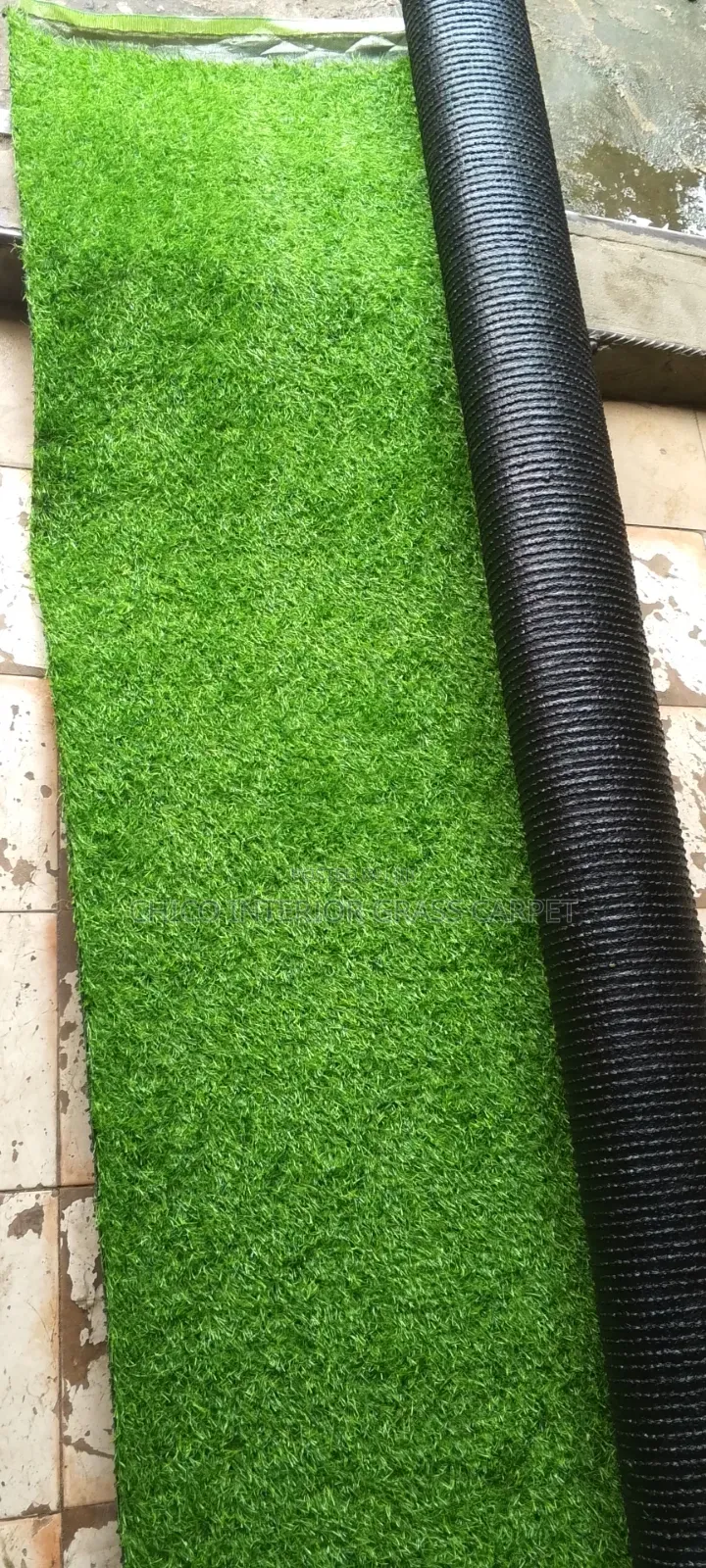Carpet Grass