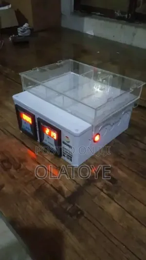 Electrophoresis Machine