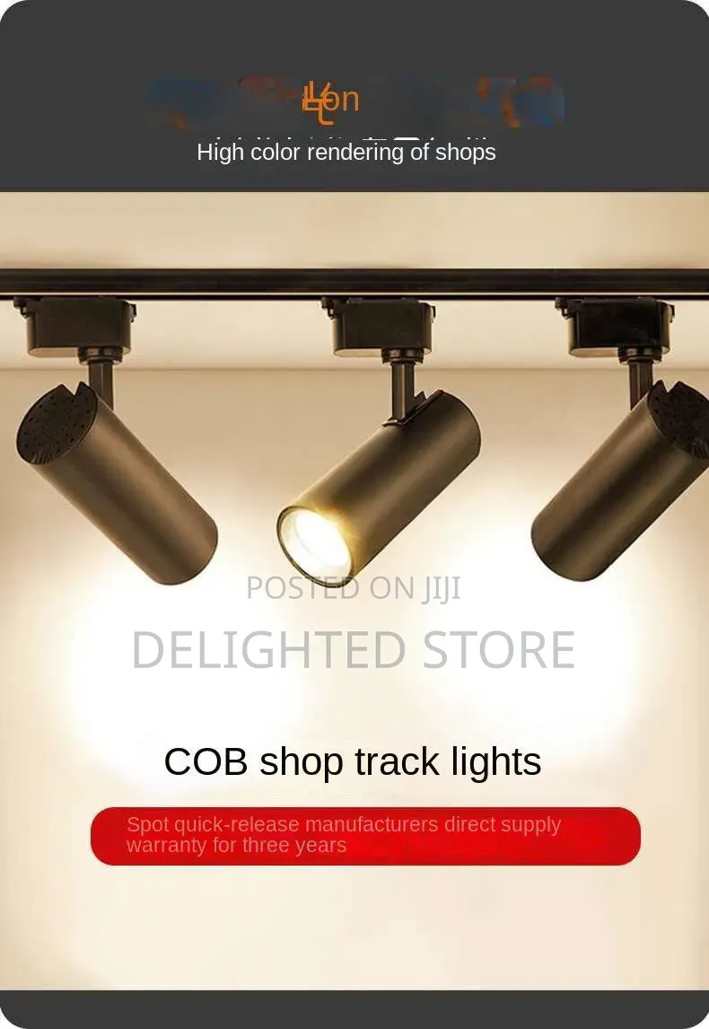 3in1 30w Spotlight Adjustable Ceiling/Wall Engineering Model Light