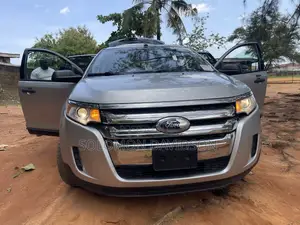 Ford Edge 2014 Silver