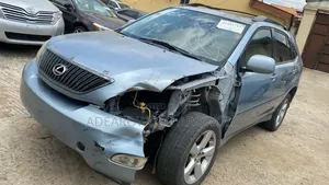 Lexus RX 330 2004 Blue