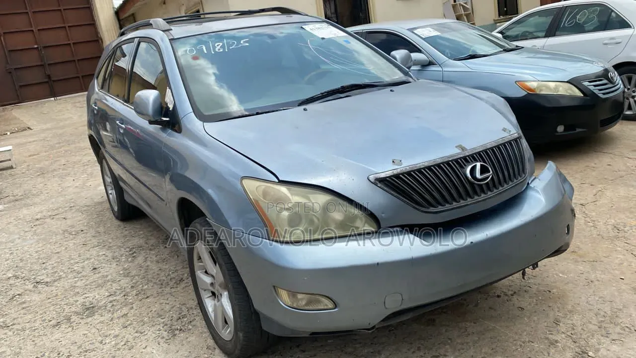 Lexus RX 330 2004 Blue