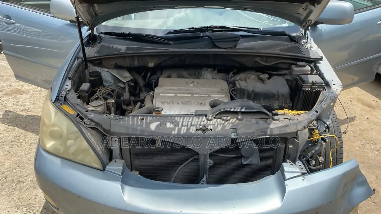 Lexus RX 330 2004 Blue