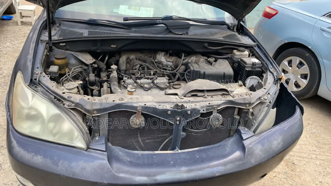 Lexus RX 330 2005 Blue