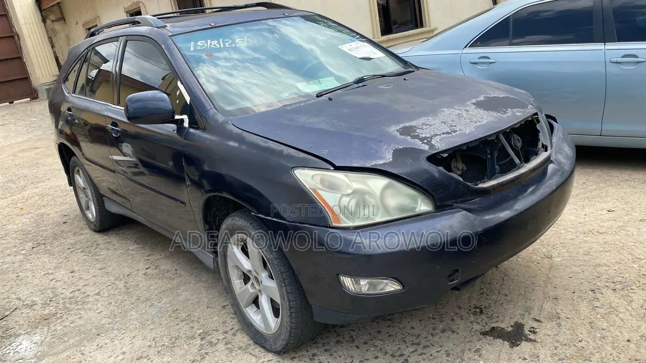 Lexus RX 330 2005 Blue