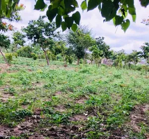 812sqm Serial Plot A B
