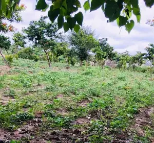 812sqm Serial Plot A B
