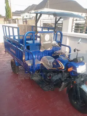 New Tricycle 2025 Blue