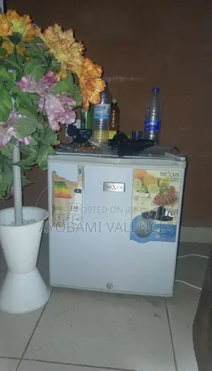 Nexus Fridge