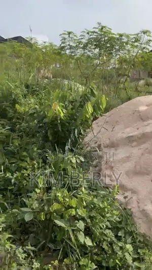 Land 50/100