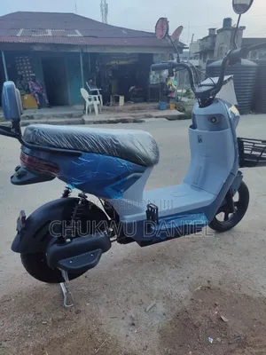Strong Affordable Electric Bike