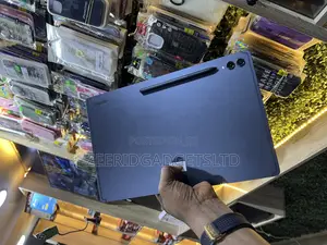 Samsung Galaxy Tab S9 Ultra 256 GB Gray