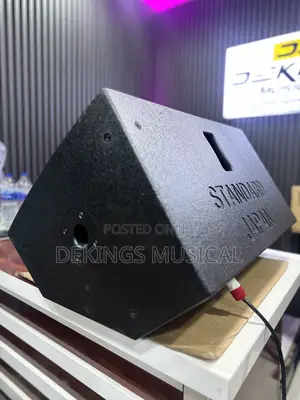 Standard Japan Floor Monitor 15 Inches Feedback Stage Speaker