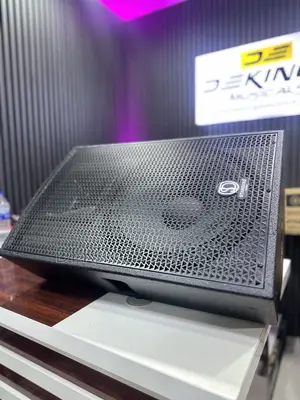 Standard Japan Floor Monitor 15 Inches Feedback Stage Speaker