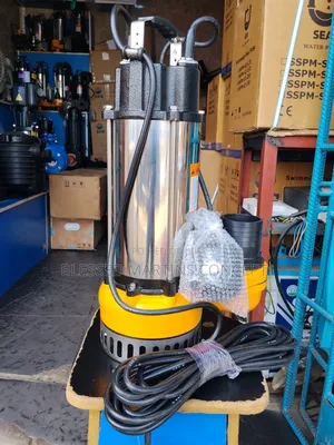 3hp Sewage/Fountain Submersible Pump