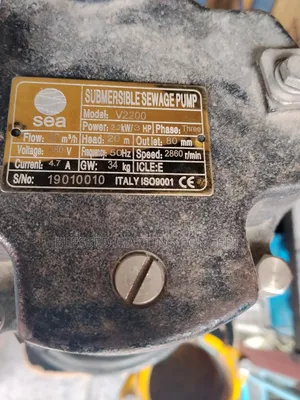 3hp Sewage/Fountain Submersible Pump