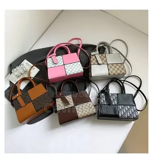 Two Toned Bag