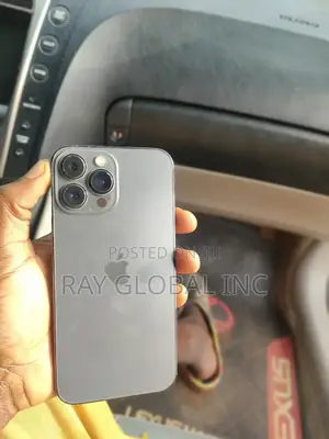 Apple iPhone 13 Pro Max 128 GB Gray