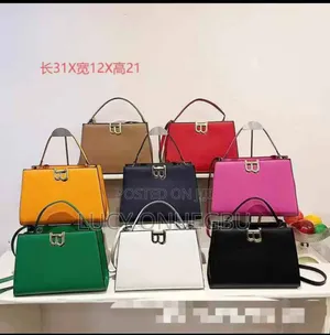 Ladies Hand Bag