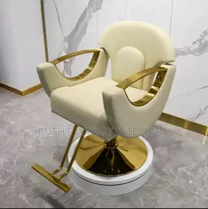 Luxurious Salon Chair Available in Different Colors and Designs