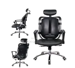 Ergonomic Kidney Executive Office Chair
