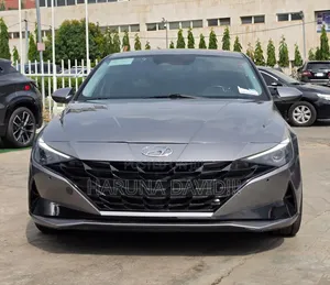 Hyundai Elantra 2021 Gray