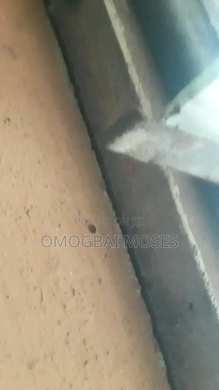 Mosco Fumigation Services