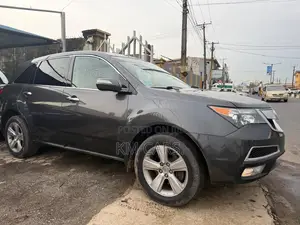 Acura MDX 2010 Gray