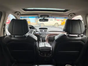 Acura MDX 2010 Gray